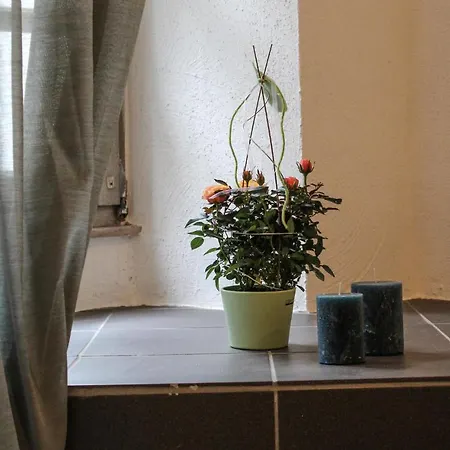 Amazing Apartment In Winningen With Wifi Appartamento Winningen